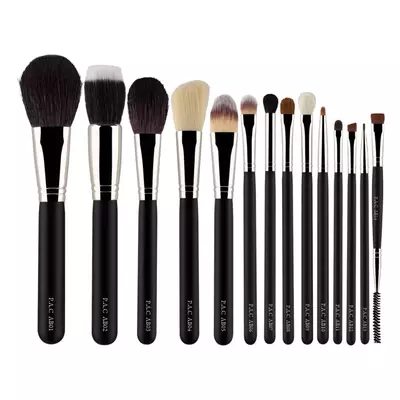 PAC Absolute Basics 14 Brushes