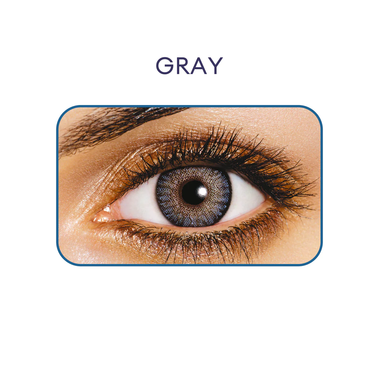 FreshLook One-Day Color - Box - Grey