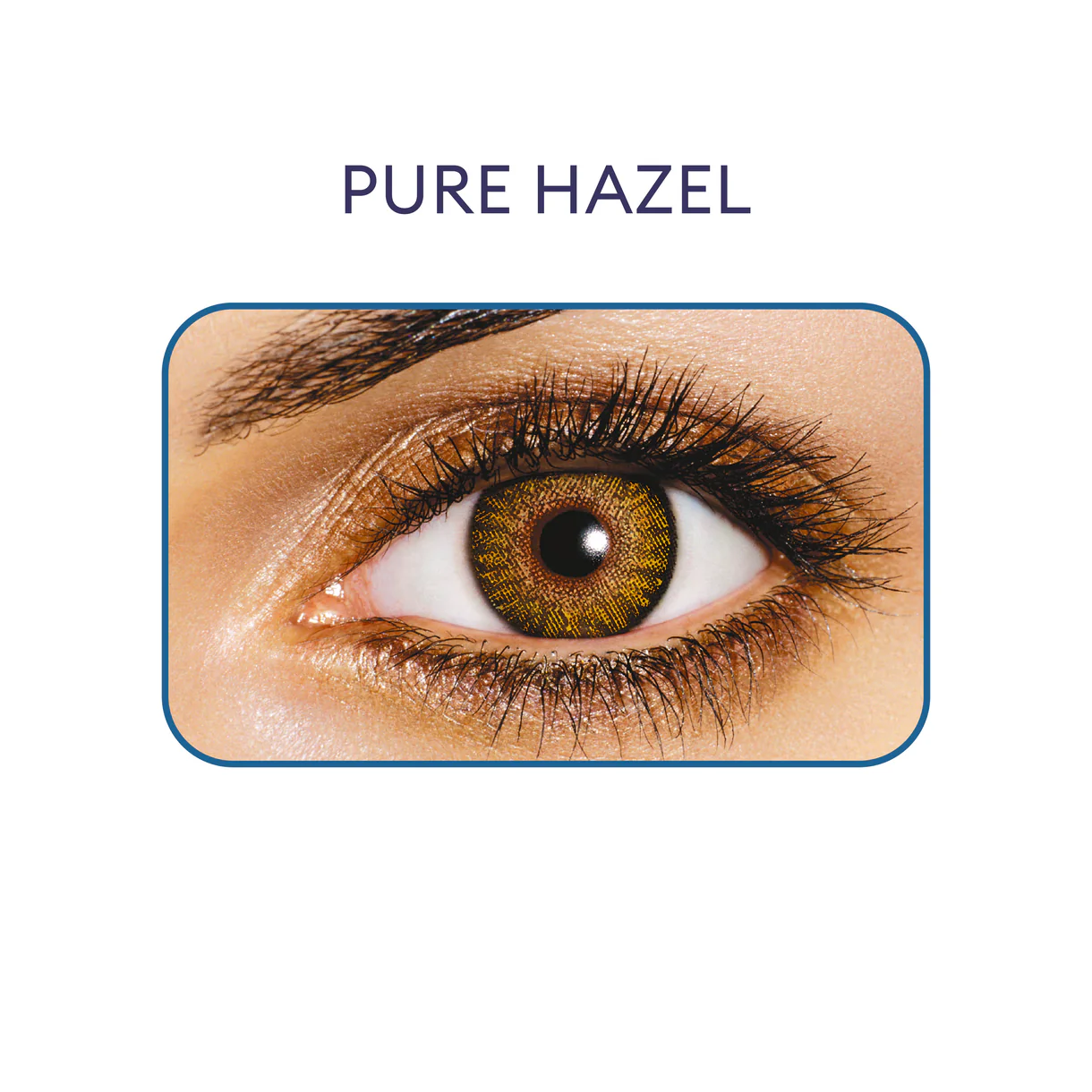FreshLook One-Day Color - Box - Pure Hazel