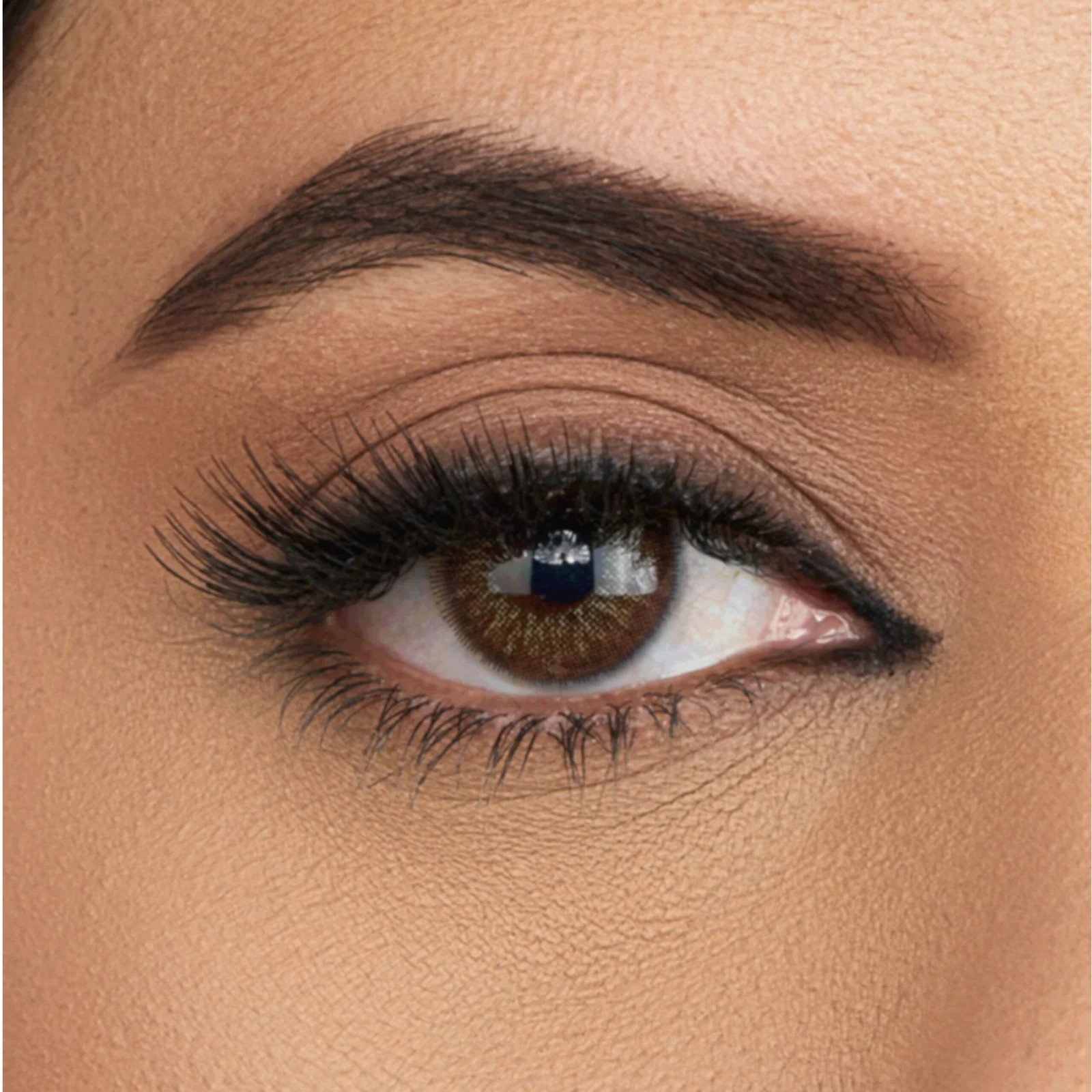 Aqua Color Contact Lens – Box - Dusky Brown