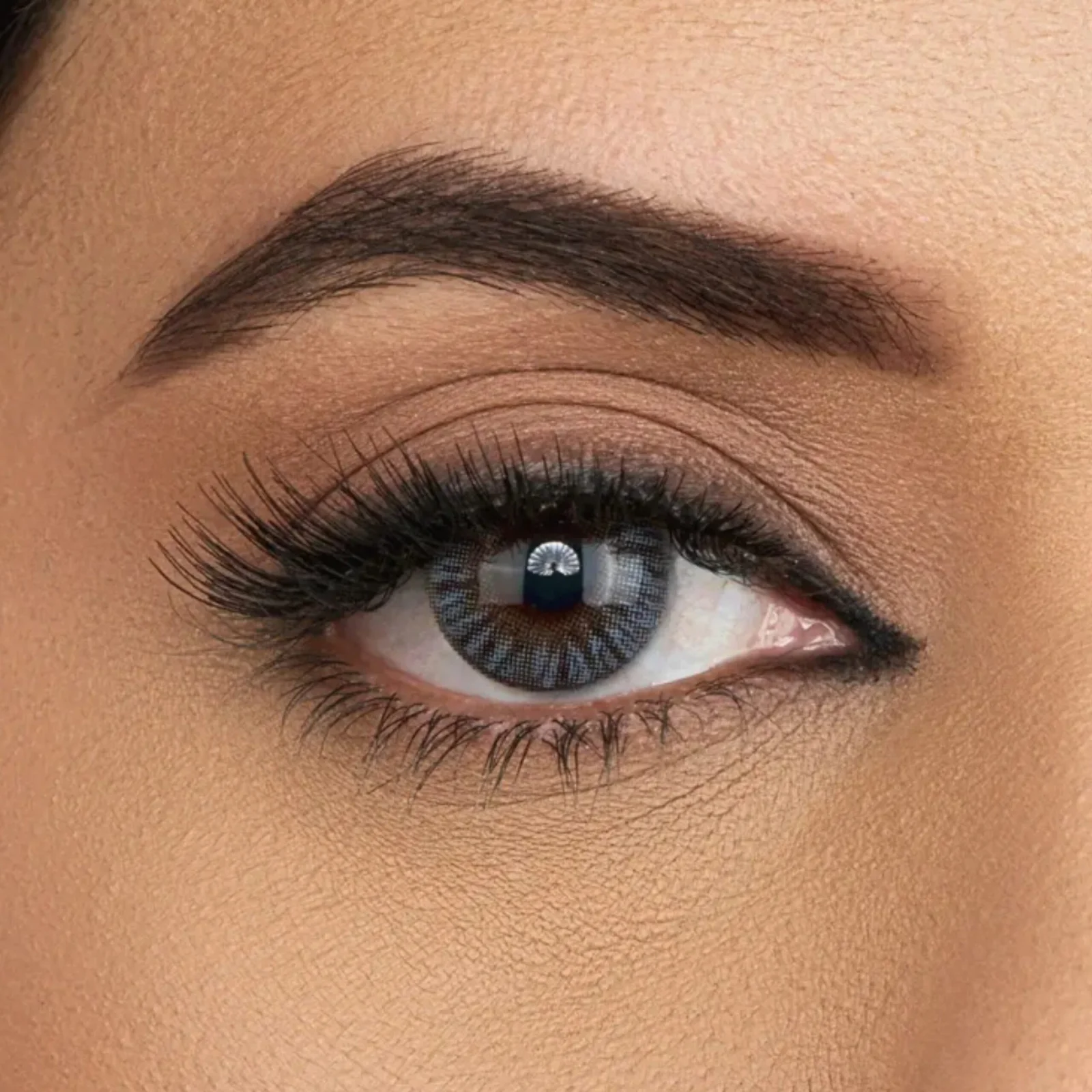 Aqua Color Contact Lens – Box - Spicy Gray